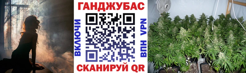 Бошки марихуана гибрид Стародуб